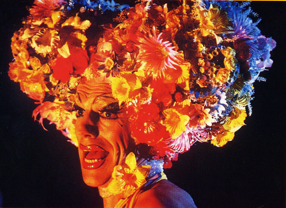Adventures of priscilla queen of the desert the 1 elliott