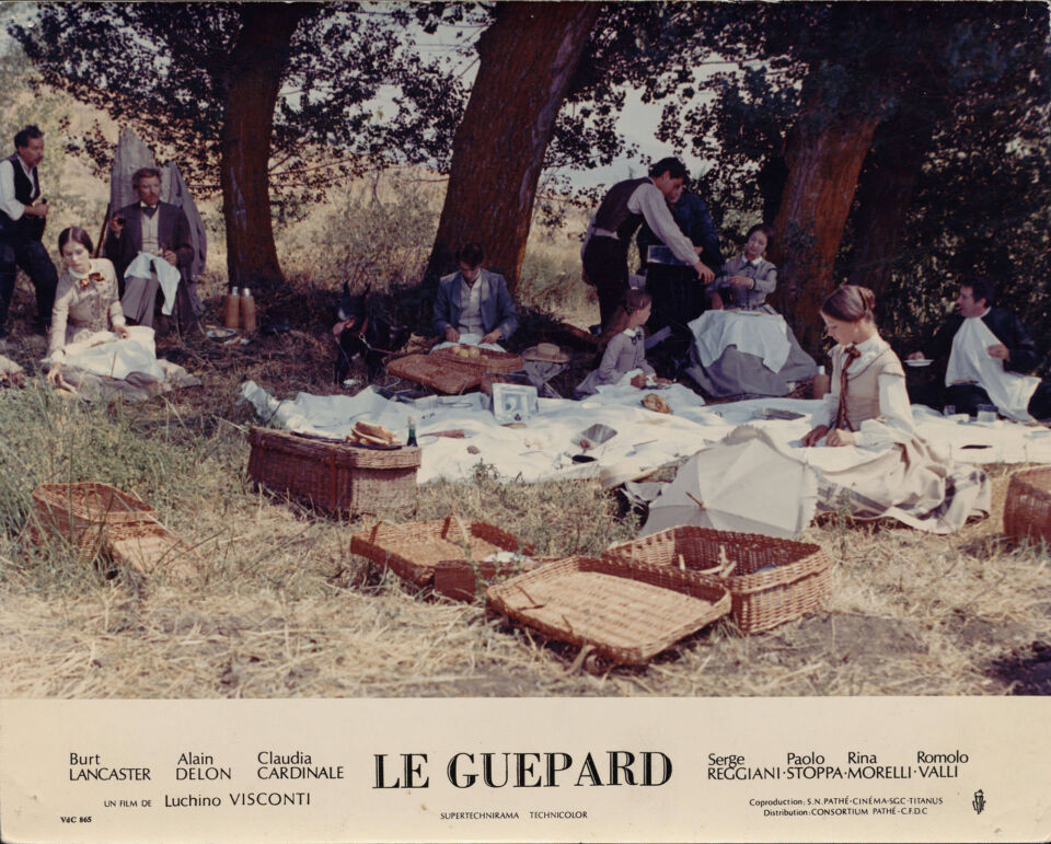 Gattopardo il 66 visconti