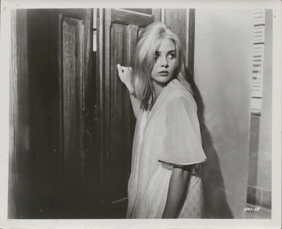 Night of the iguana the 40 huston