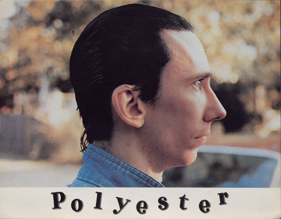Polyester 28 waters