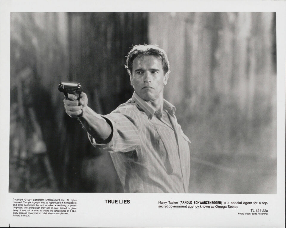 True lies 19 cameron