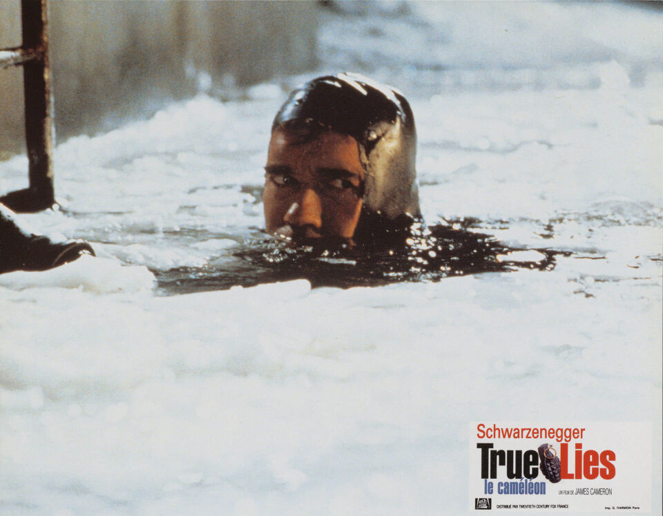 True lies 26 cameron
