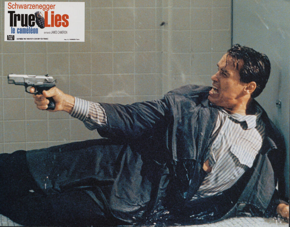 True lies 28 cameron