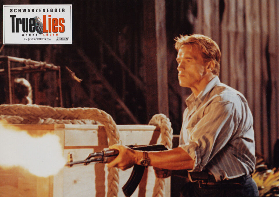 True lies 35 cameron