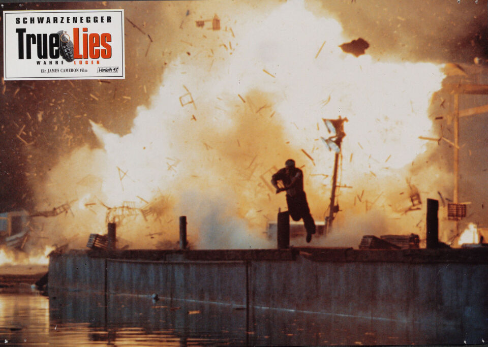 True lies 37 cameron