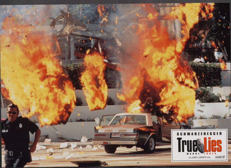 True lies 38 cameron