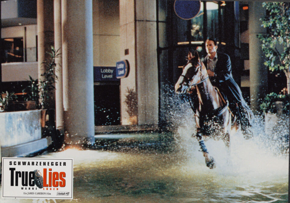 True lies 40 cameron