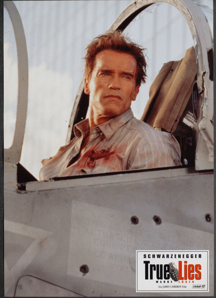True lies 49 cameron