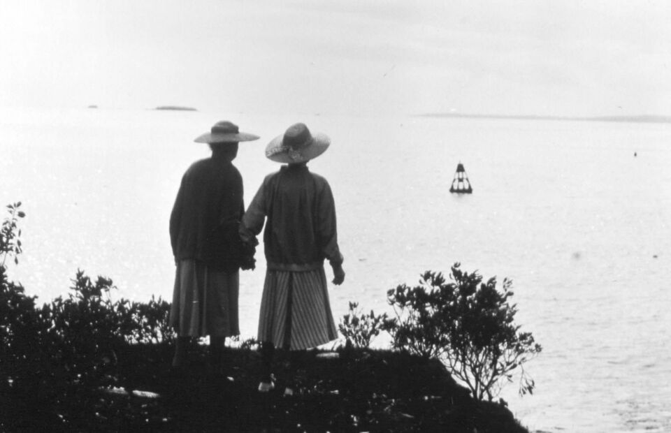 Whales of august the 3 anderson