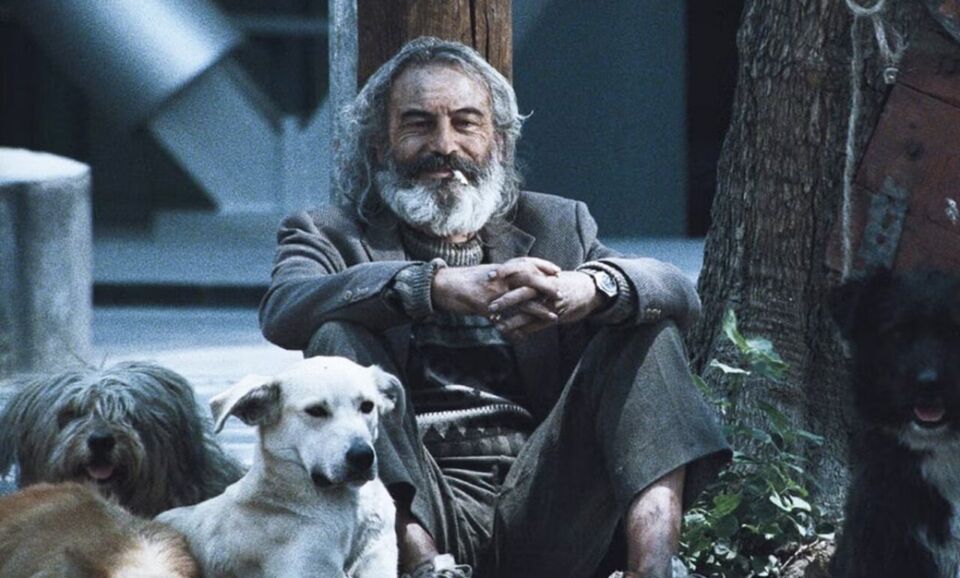 Amores perros una herida abierta que reinvento el cine mexicano