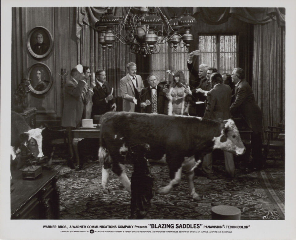 Blazing saddles 16 brooks