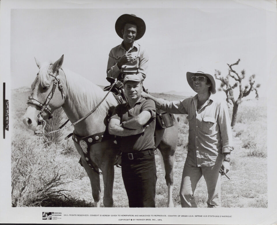 Blazing saddles 19 brooks