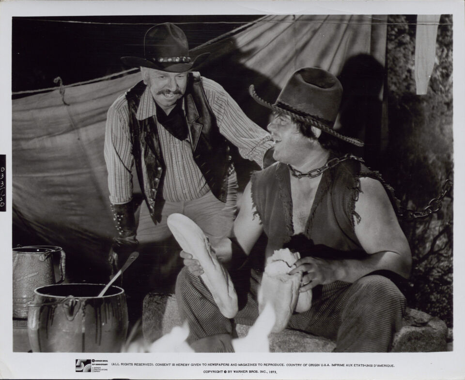 Blazing saddles 21 brooks