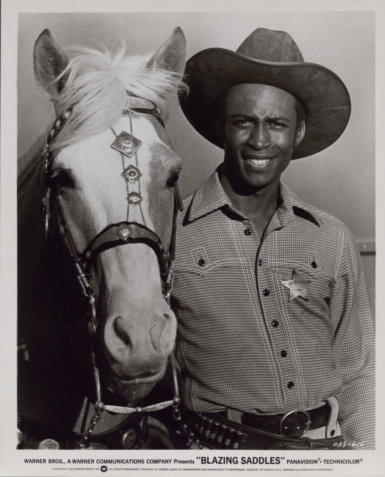 Blazing saddles 29 brooks