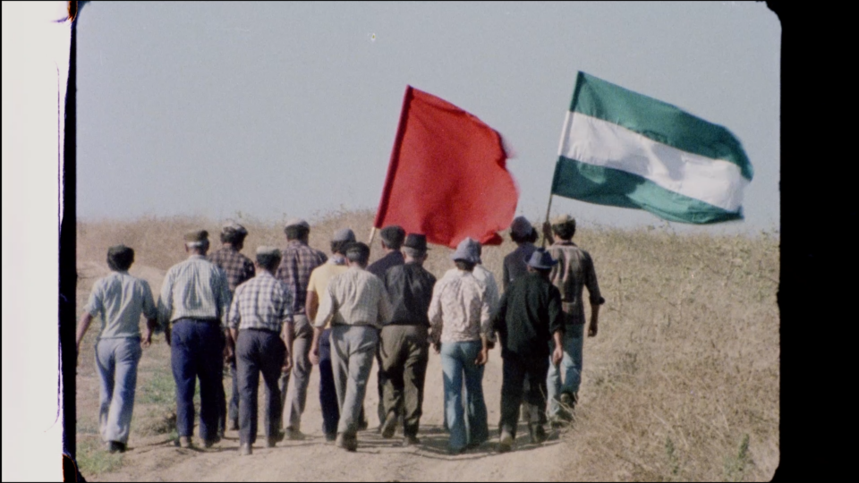 Cajade Resistencia Still3