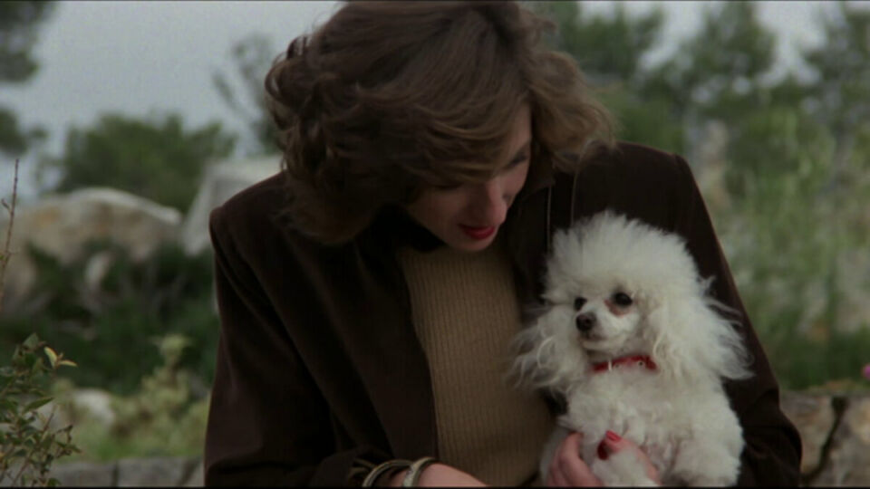 Caniche Bigas Luna 0