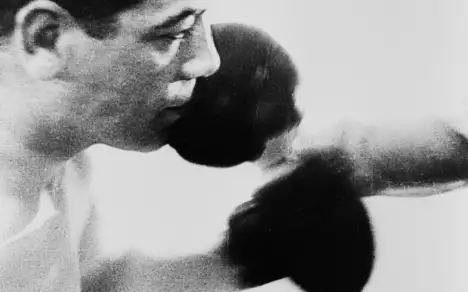 BOXE 1 81 1