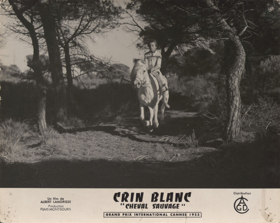 CRIN BLANC 47 Lamorisse