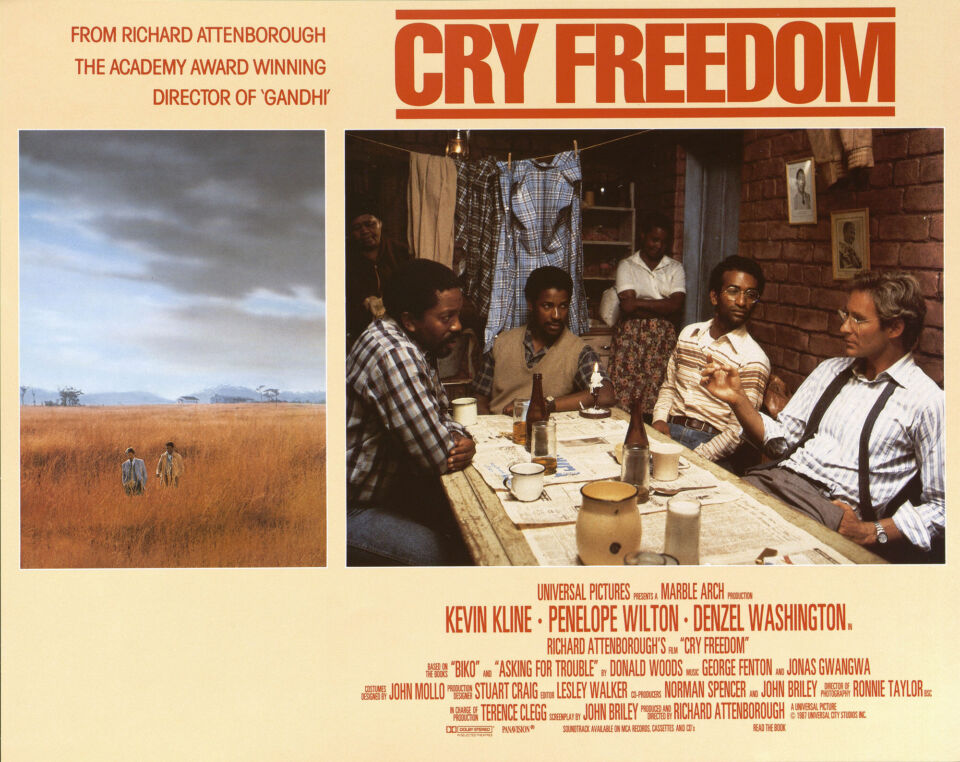 Cry freedom 8 attenborough