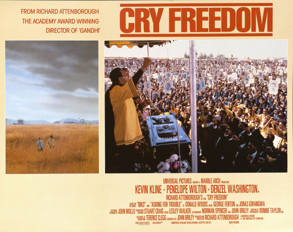 Cry freedom 9 attenborough