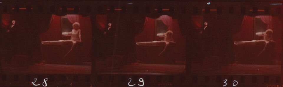 Planche2 2 cygne ii detail 2