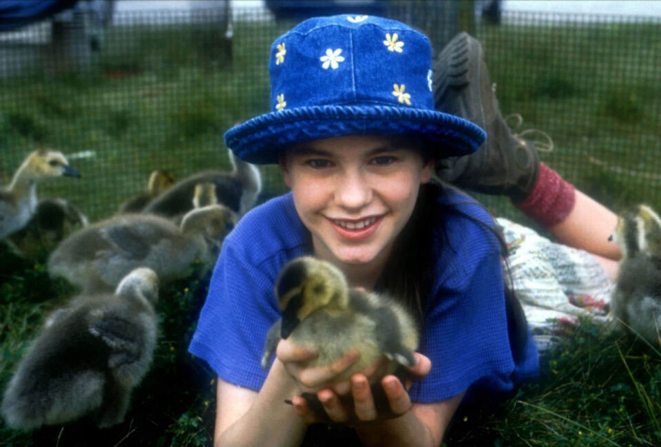 Fly away home 2 1