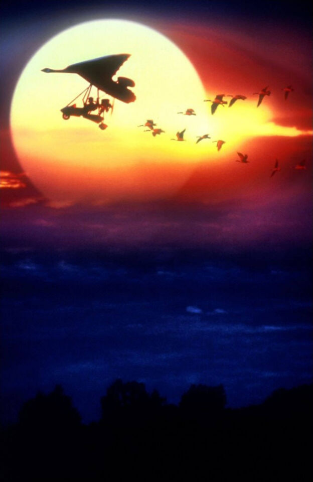 Fly away home 2 2