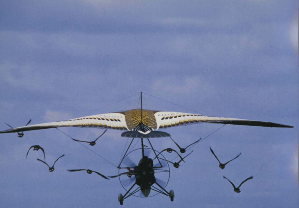 Fly away home 2 7
