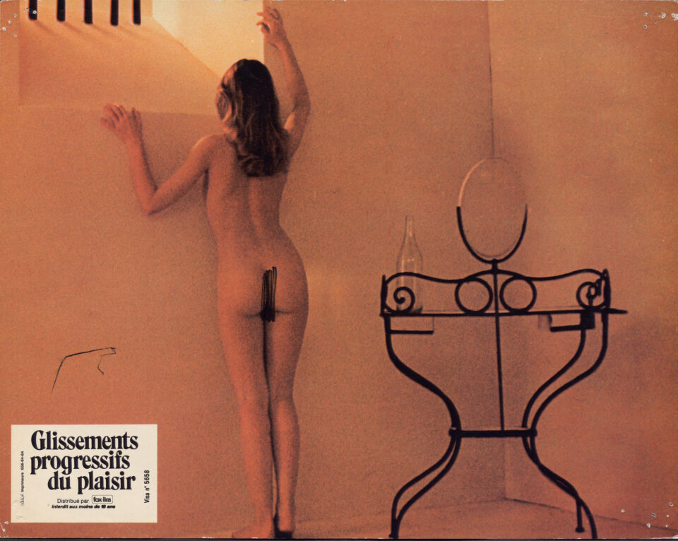 GLISSEMENTS PROGRESSIFS DU PLAISIR LES 17 Robbe Grillet copy