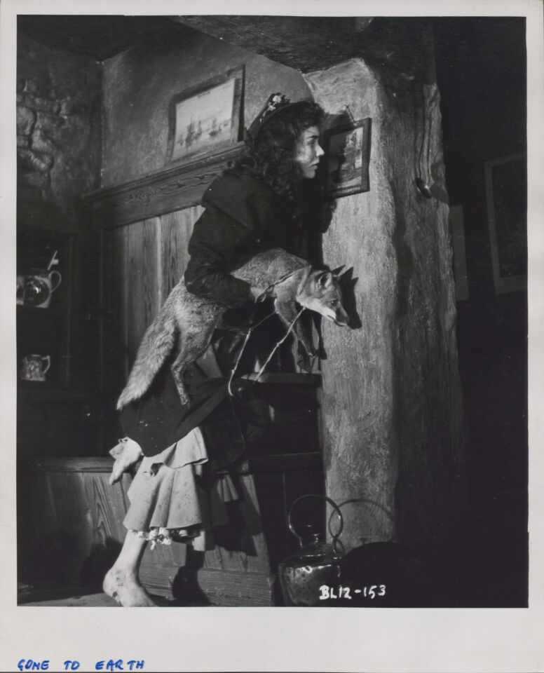 Gone to earth 17 powell pressburger