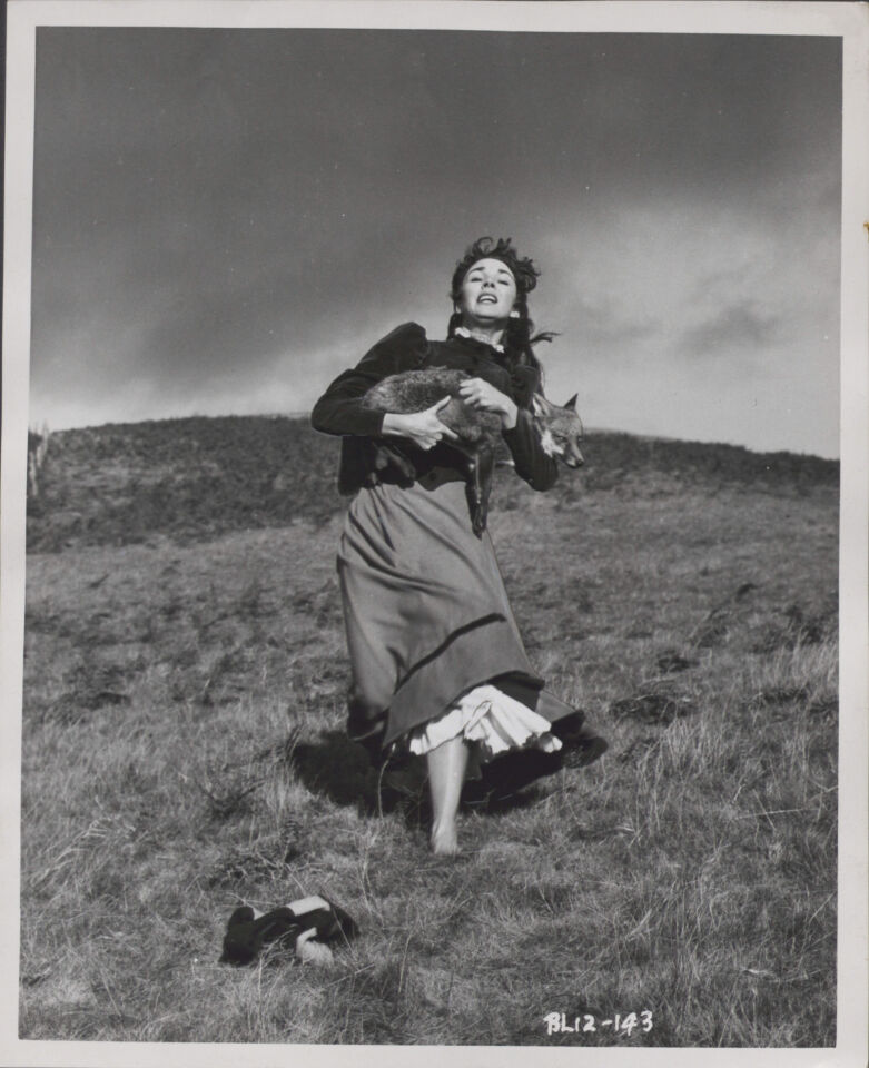 Gone to earth 20 powell pressburger