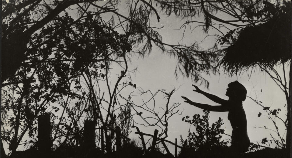 Haxan 25 christensen