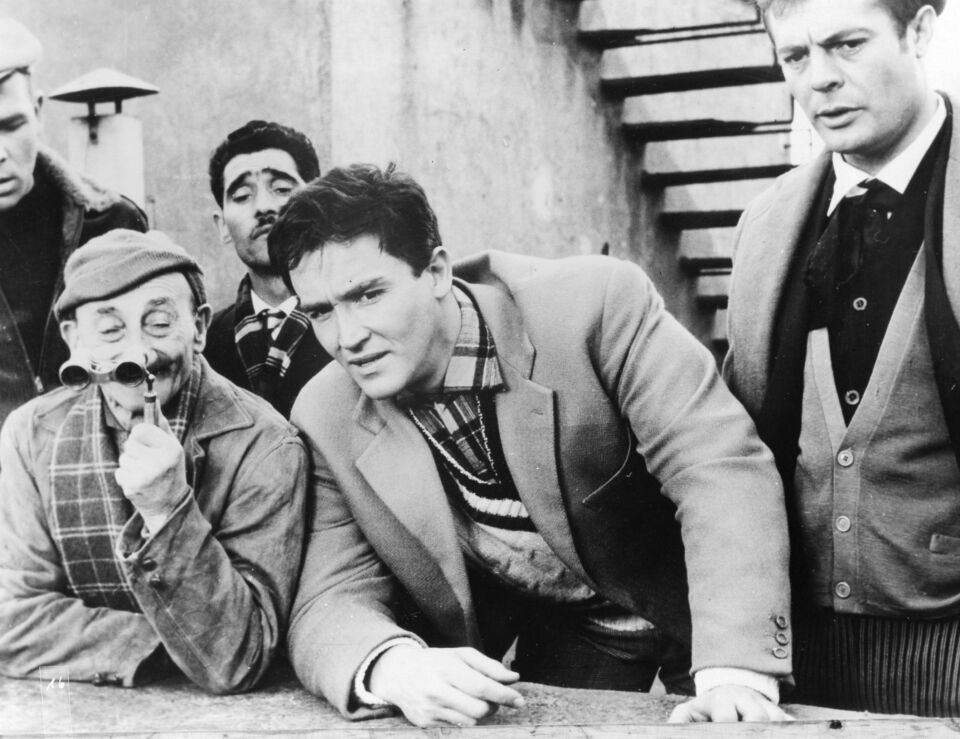 Soliti ignoti i 5 Monicelli