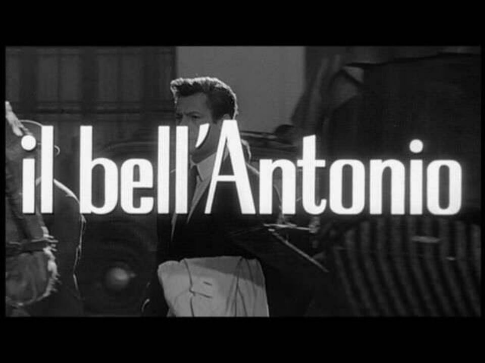 Il bellantonio 8