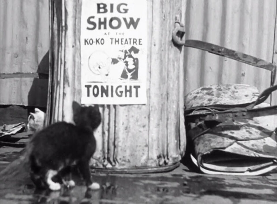 Its the Cats Dave Fleischer 02