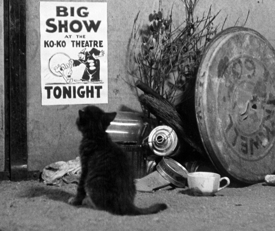 Its the Cats Dave Fleischer
