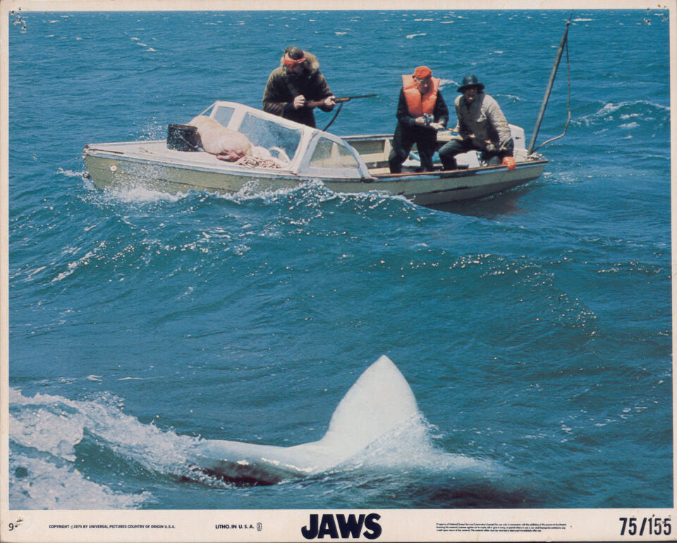 Jaws 10