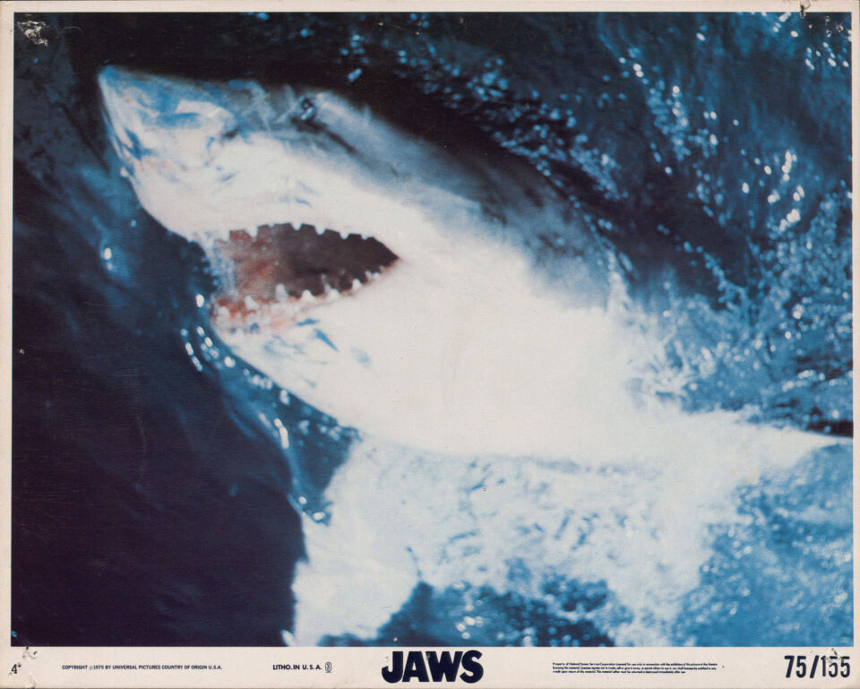 Jaws 11