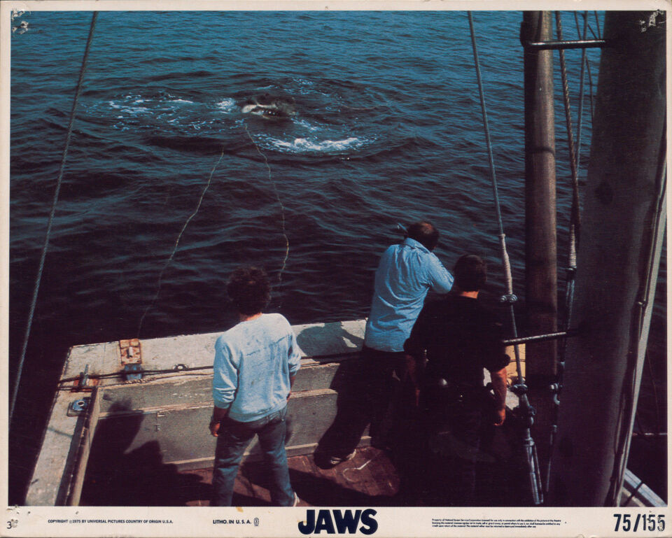 Jaws 12