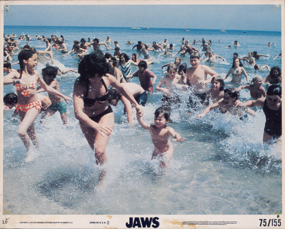 Jaws 13