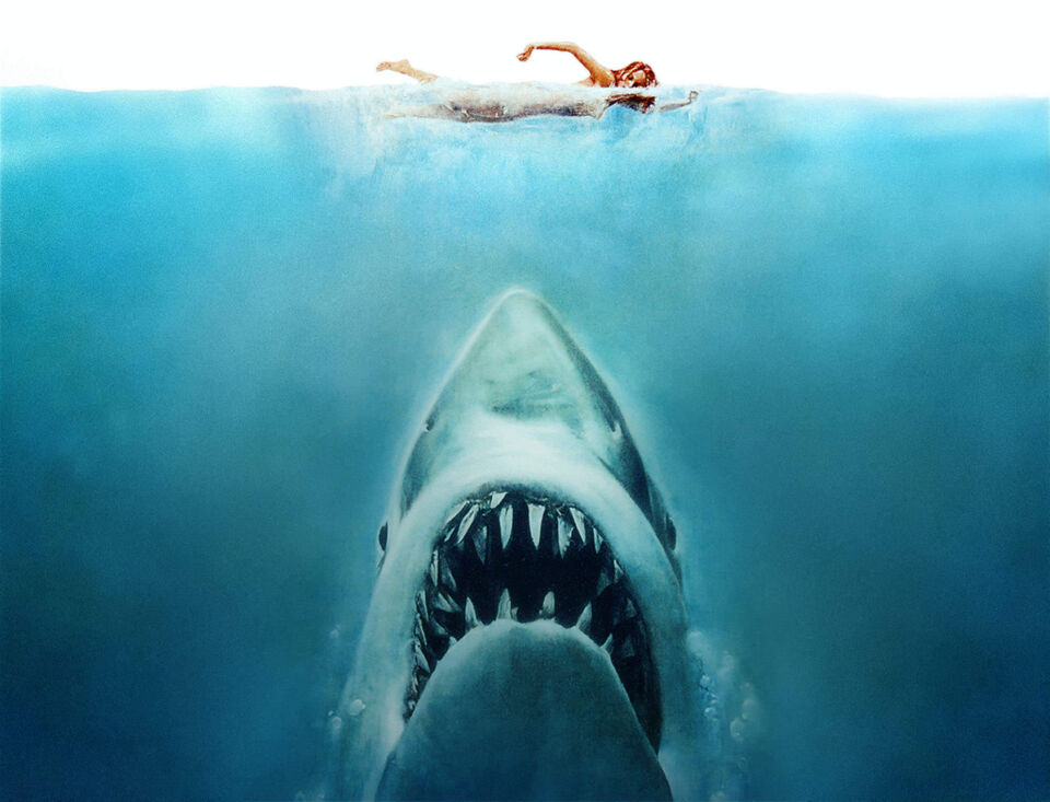 Jaws 23