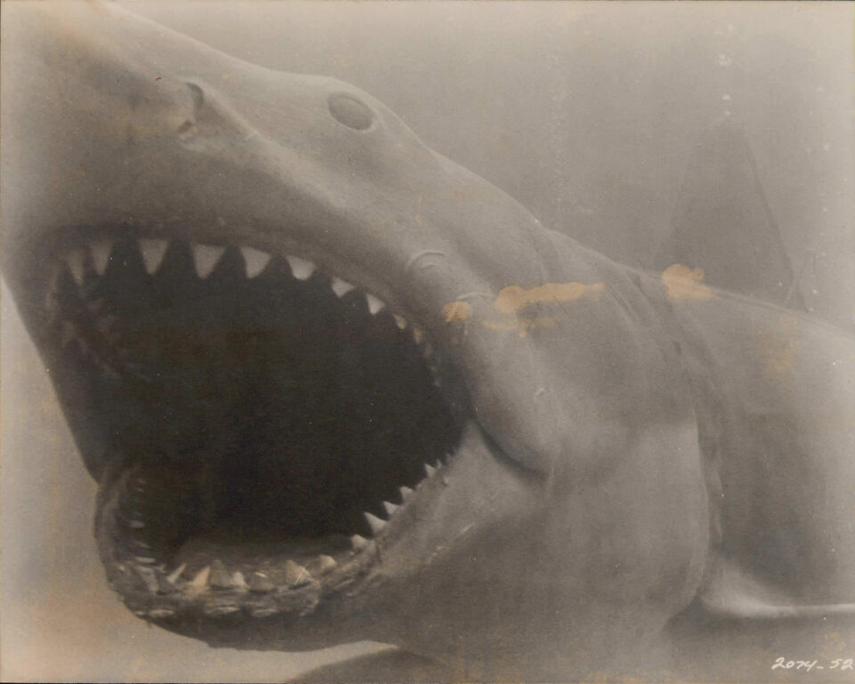 Jaws 4