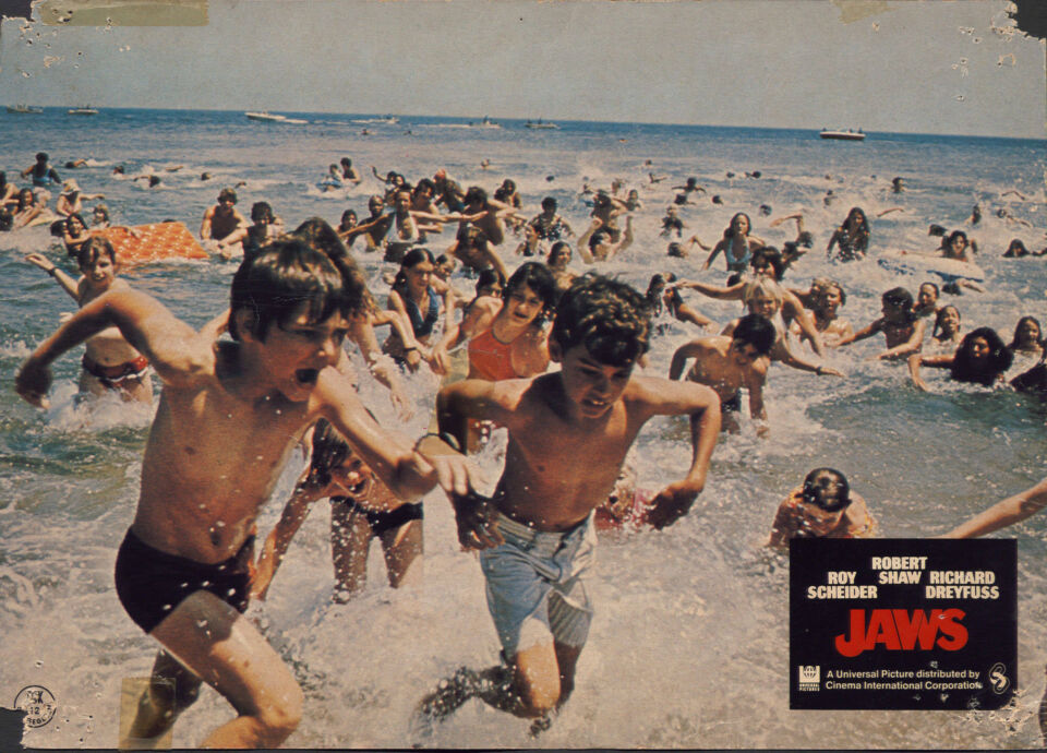 Jaws 5