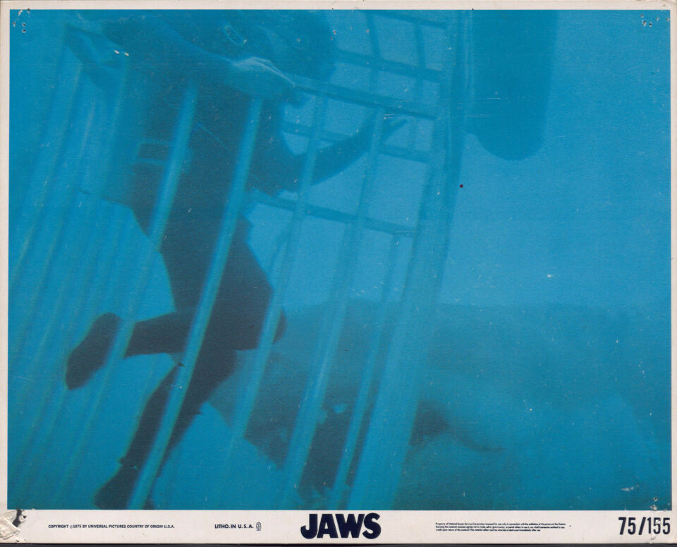 Jaws 9