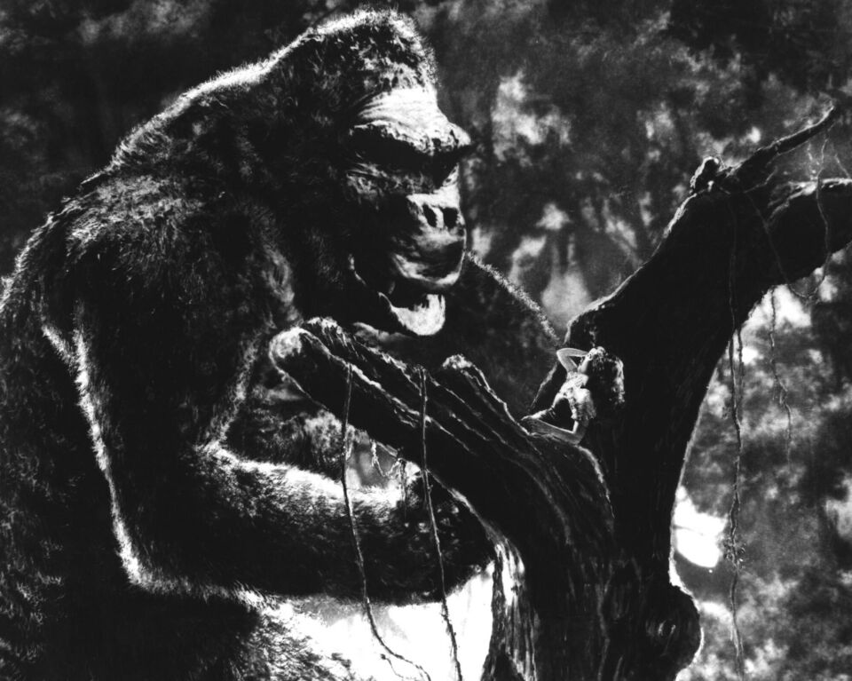 King kong 54 cooper schoedsack