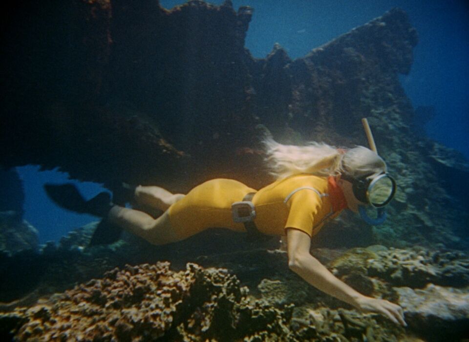 La Grande Barrière de corail