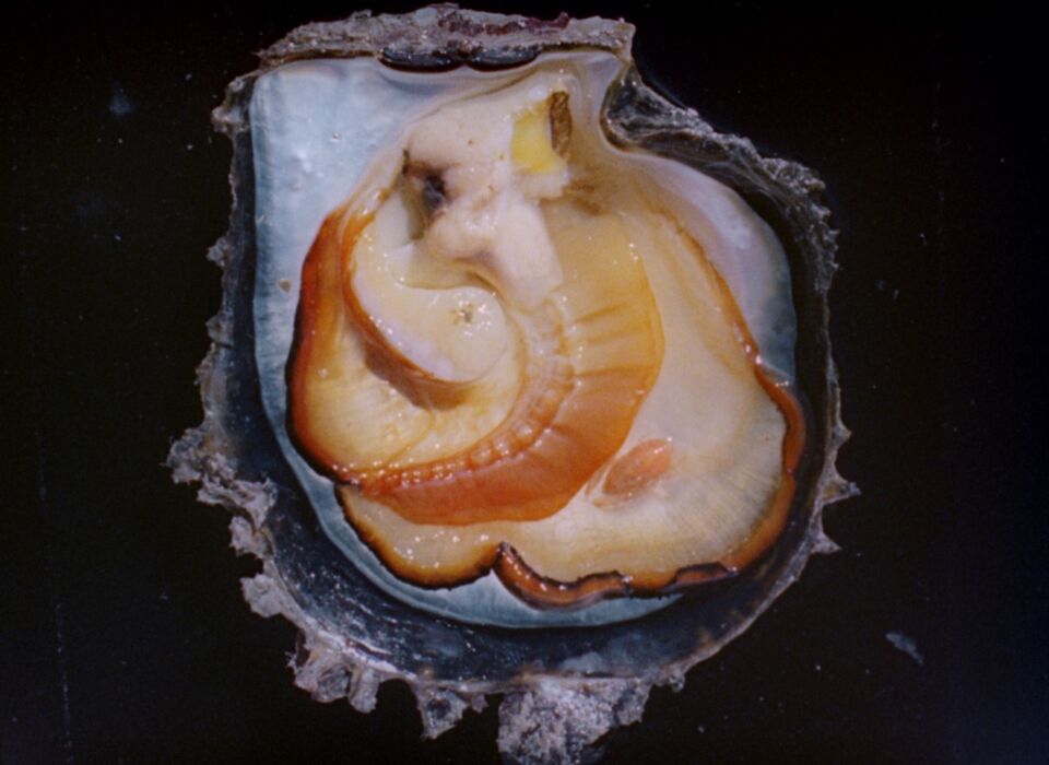 Untitled 1 99 2 Large