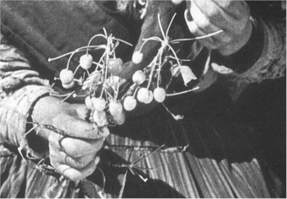 Hurdes las 1 Bunuel
