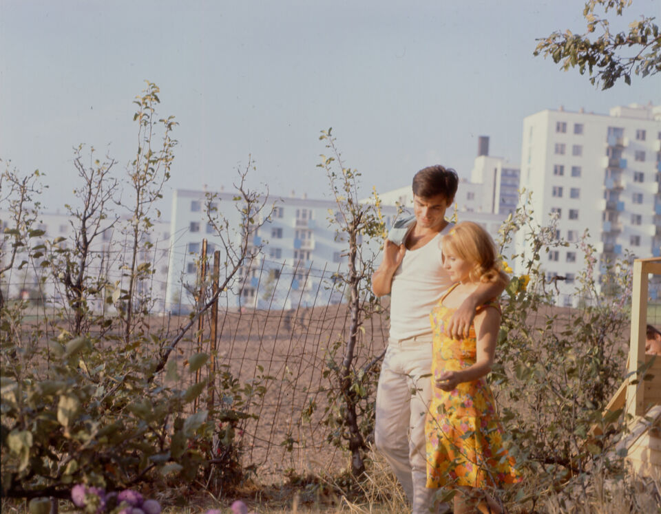 Bonheur le 25 Cine Tamaris Varda