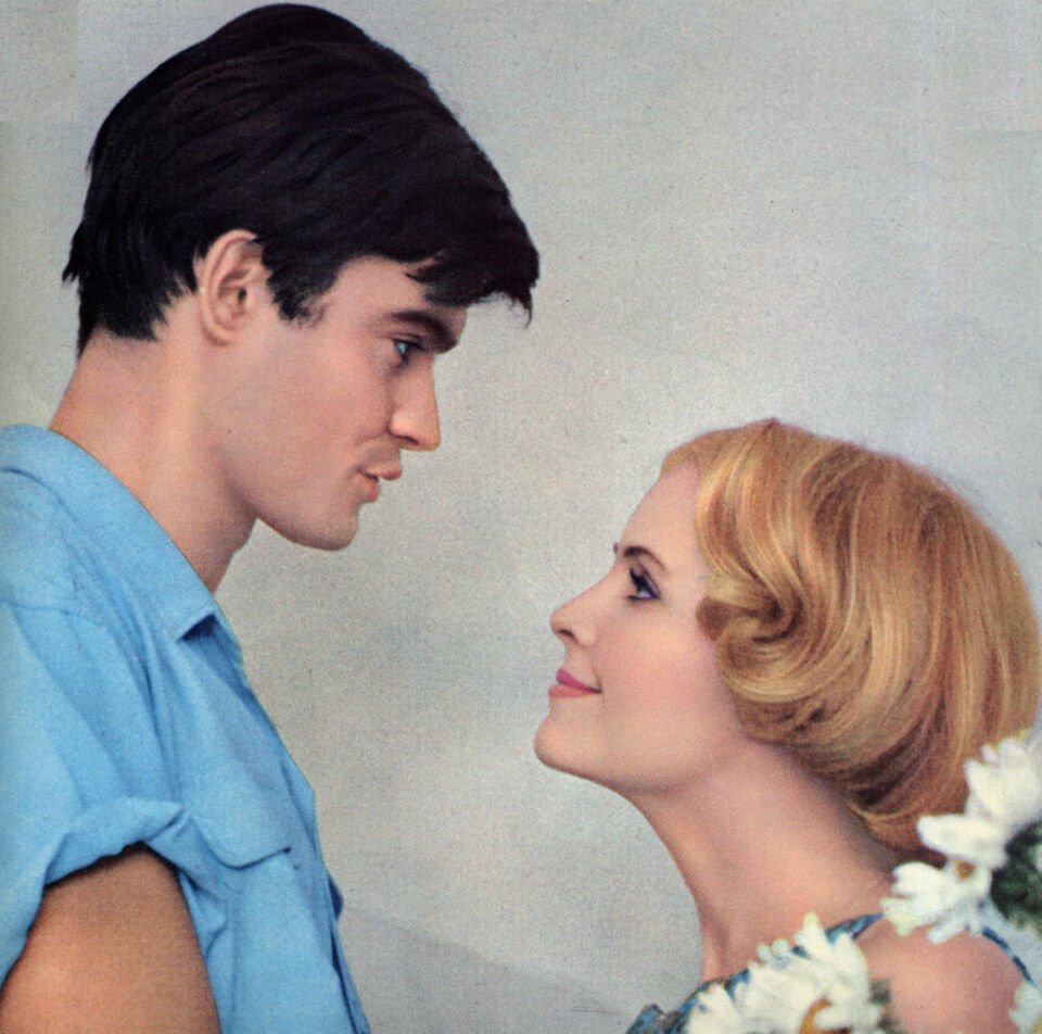 Bonheur le 28 Cine Tamaris Varda